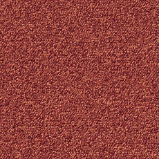 Ковровая плитка Interface Biosfera Boucle 7881 Ferro Rosso фото 1 | FLOORDEALER
